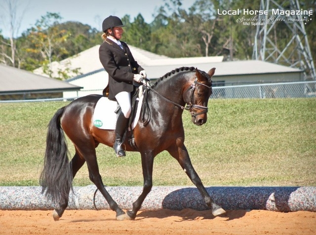 Qld Pony Dressage | Dressage Queensland