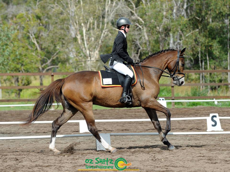 Dressage Competitions Equestrian Queensland